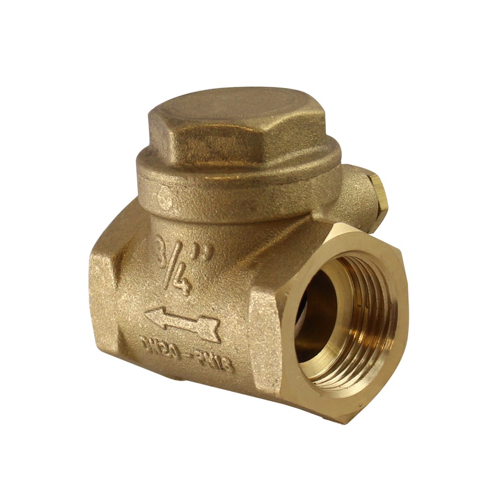 Válvula check 19.05 mm (3/4 pulgadas)