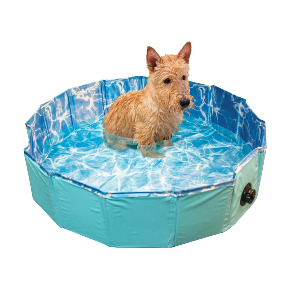 Piscina para perro