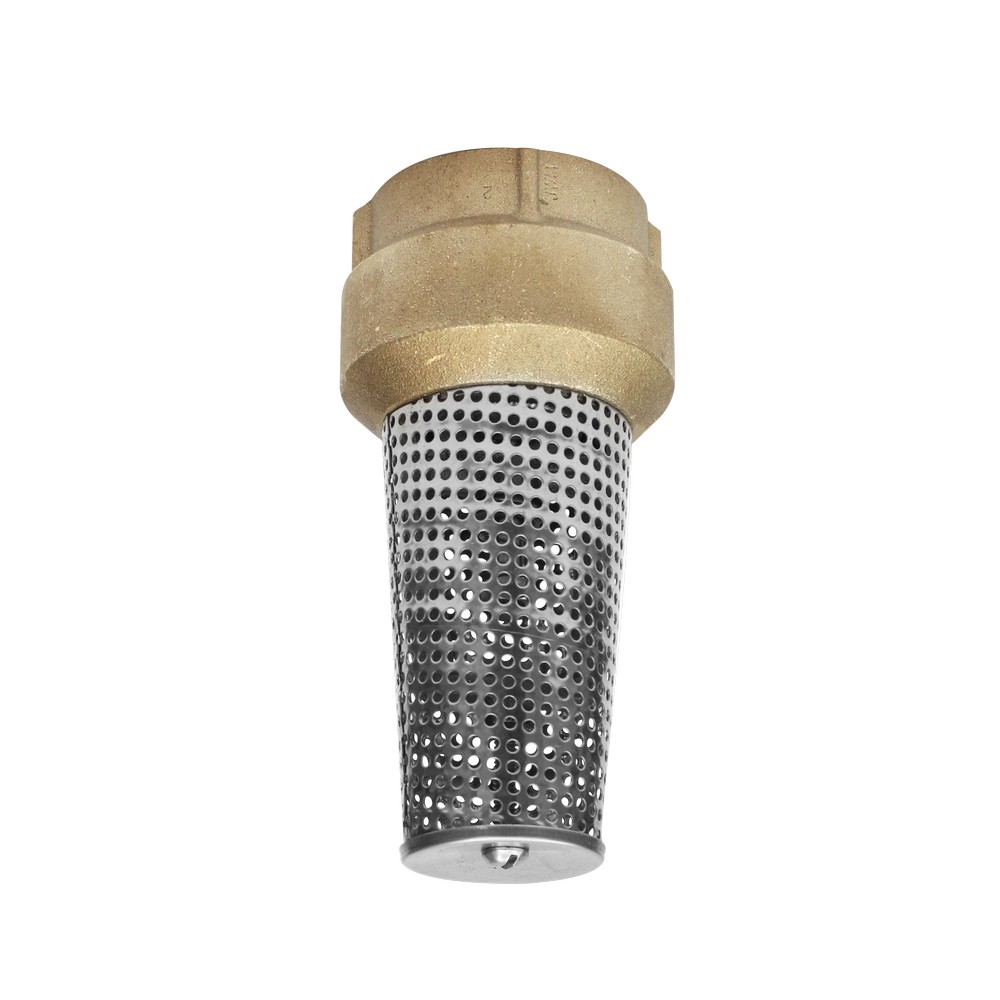 Válvula de pie 50.8 mm (2 pulg)