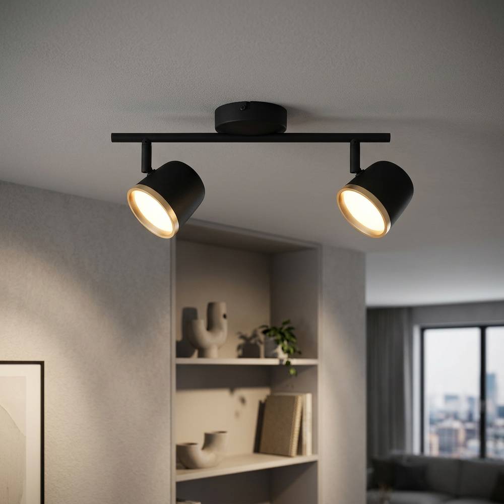 Lámpara de techo led 2l 4.2w negra