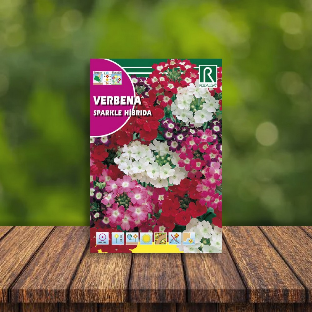 Flor de verbena sparkle