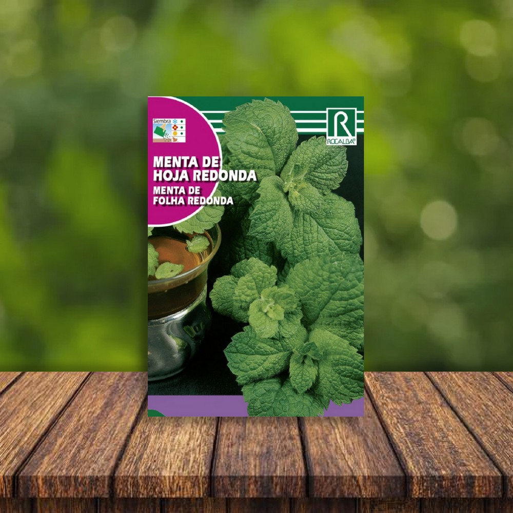 Aromatica de menta de hoja redonda