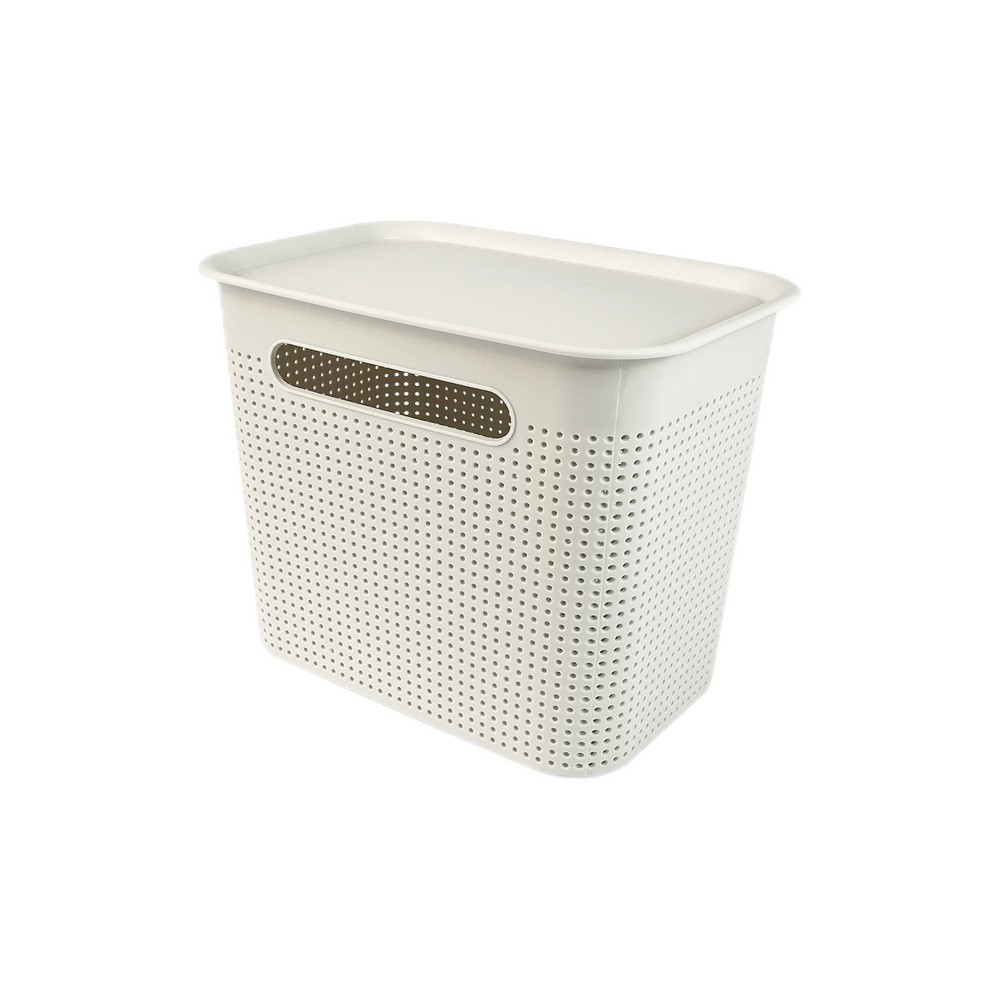 Caja organizadora plástica 27 x 19 x 21 cm con tapa