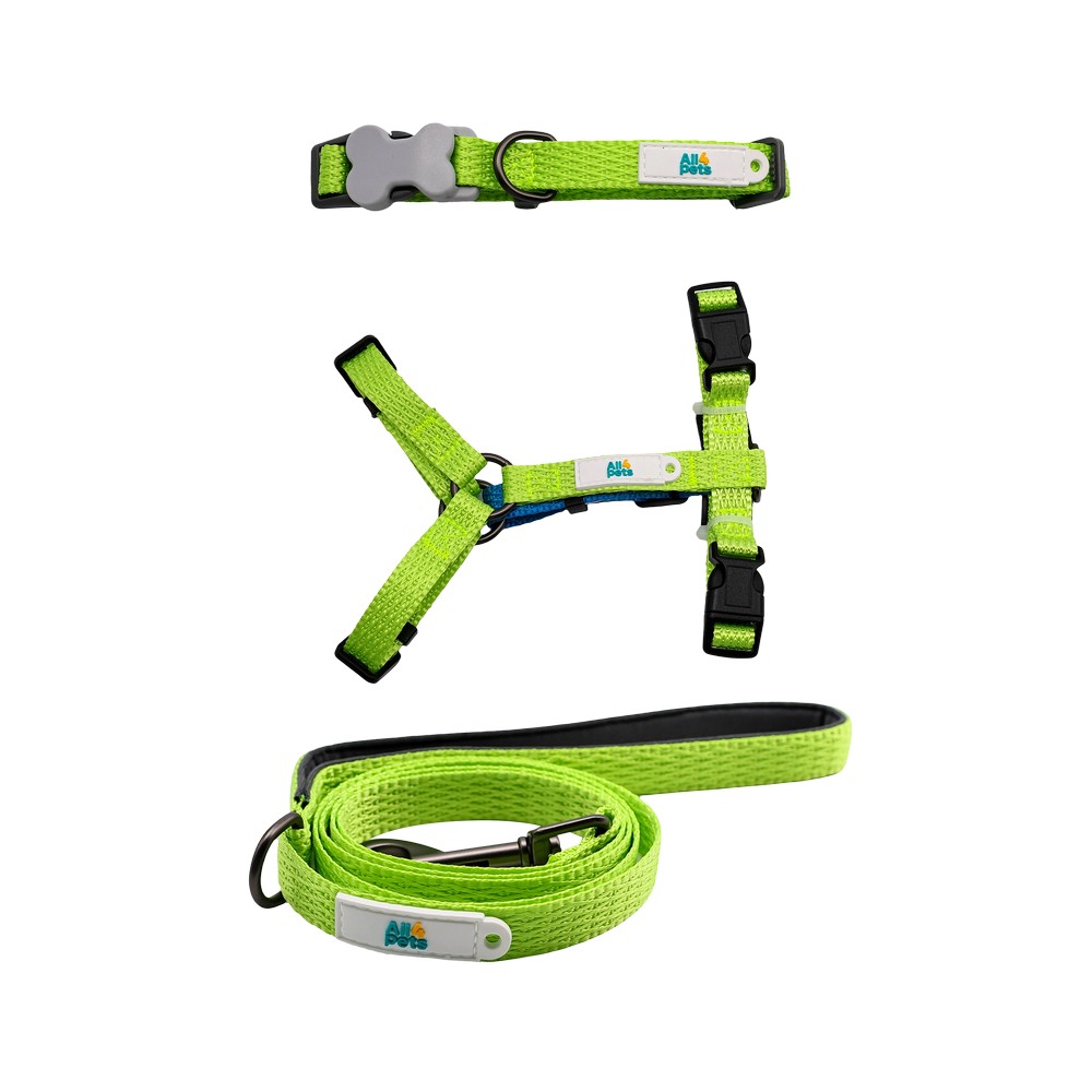 Arnes y correa para perro talla s verde 2 piezas