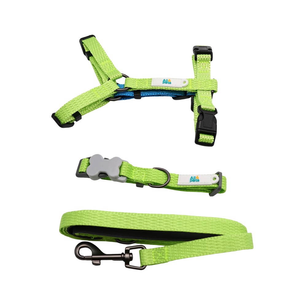 Arnes y correa para perro talla m verde 2 piezas