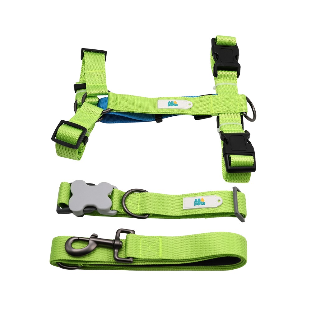 Arnes y correa para perro talla xl verde 2 piezas