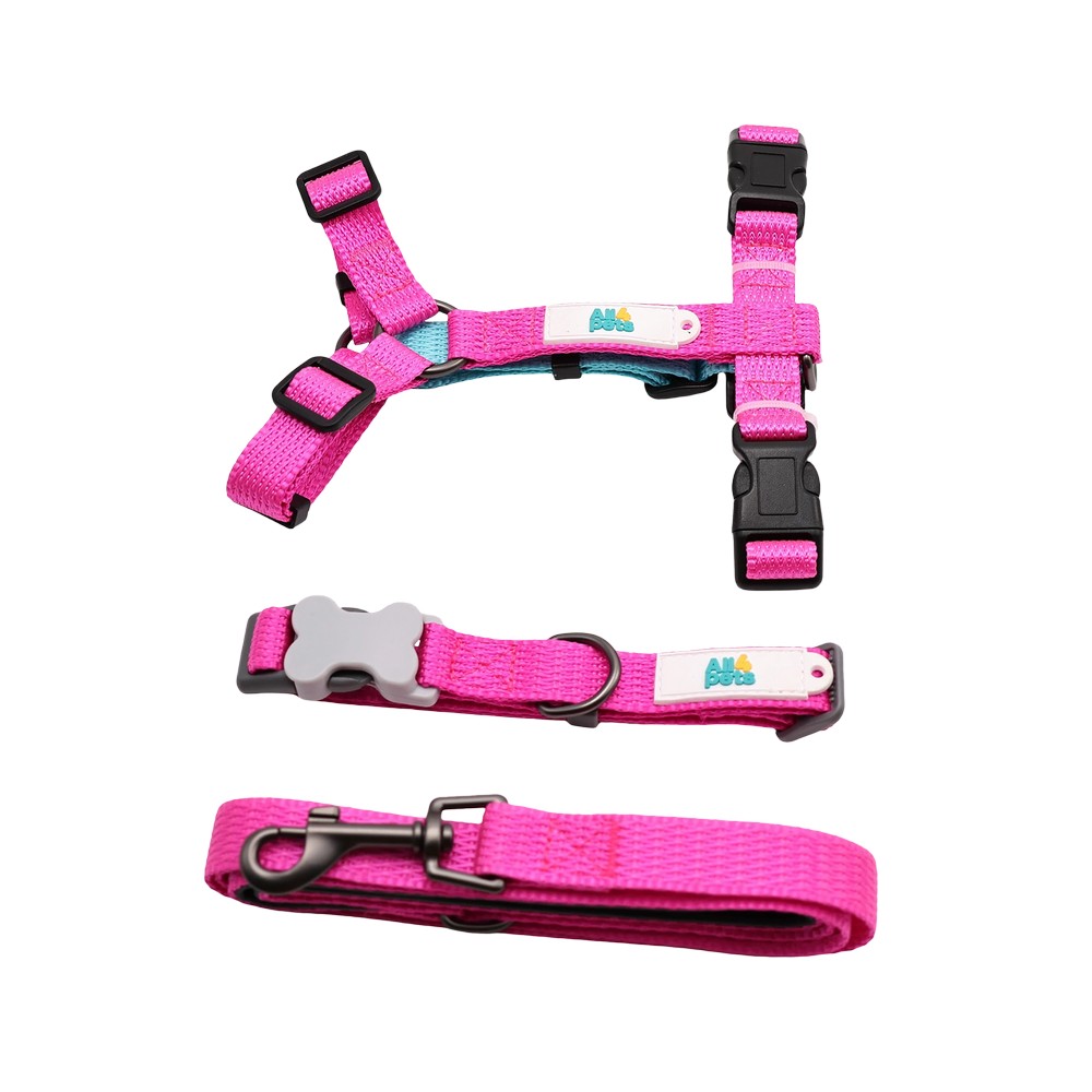 Arnes y correa para perro talla m fucsia 2 piezas