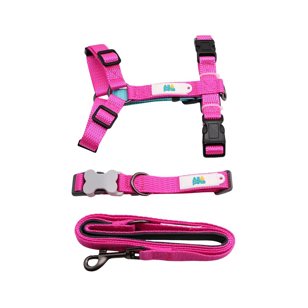 Arnes y correa para perro talla xl fucsia 2 piezas