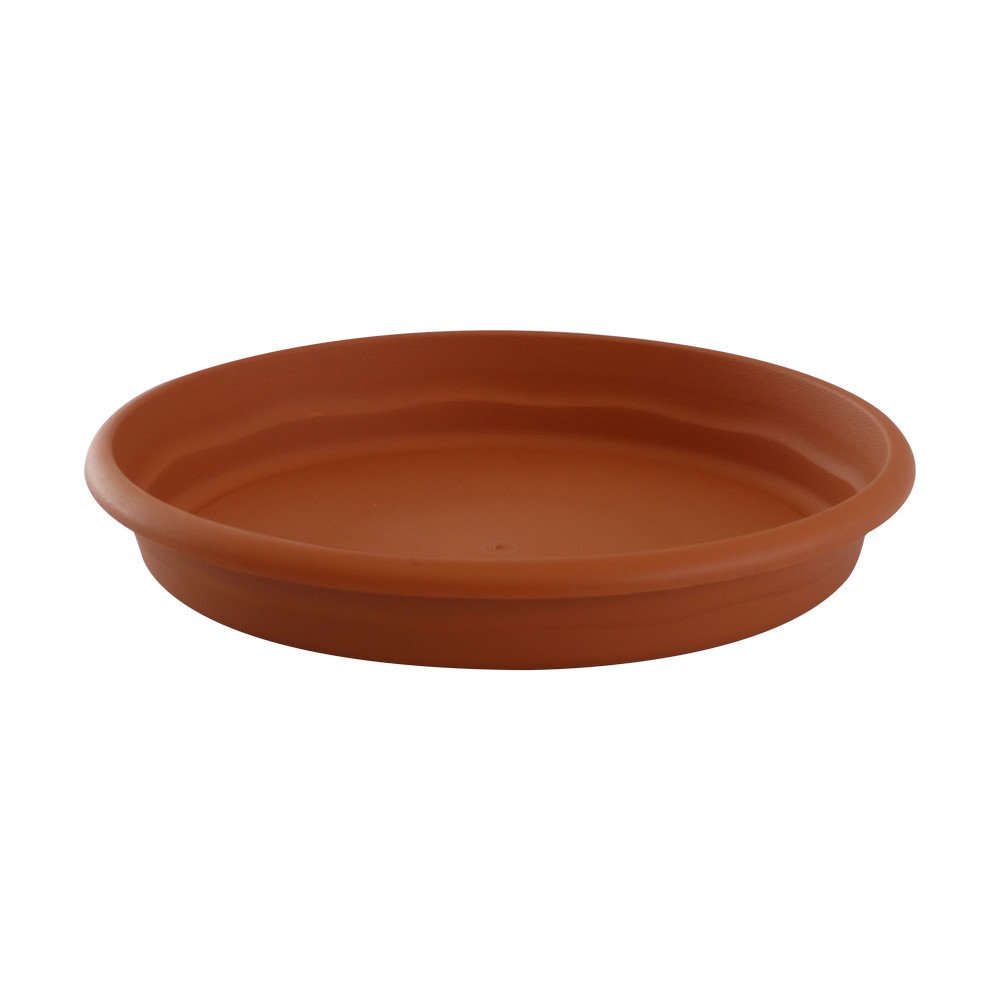 Plato redondo terra terracota 12 cm