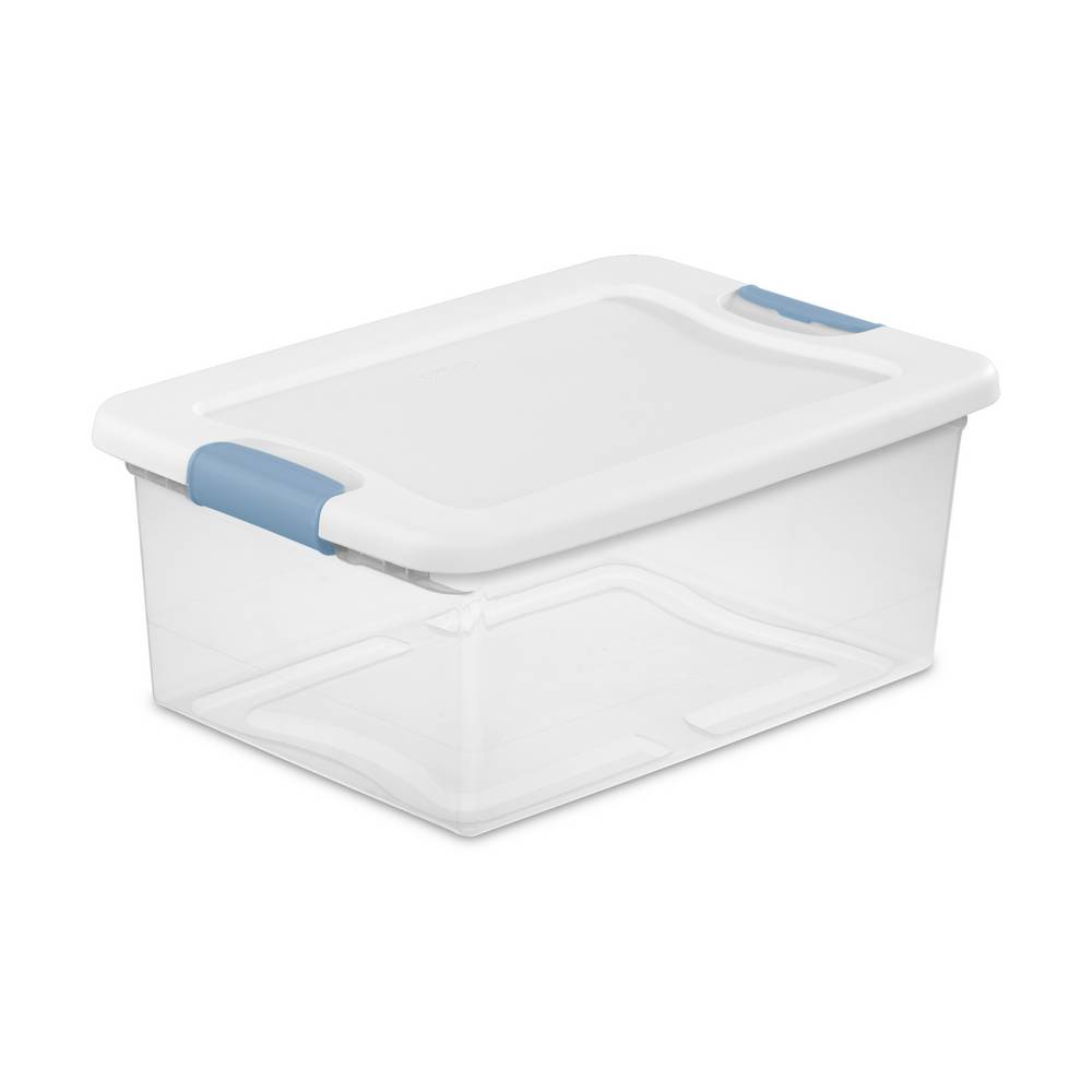 Caja organizadora 8.16 kg transparente con clip surtido