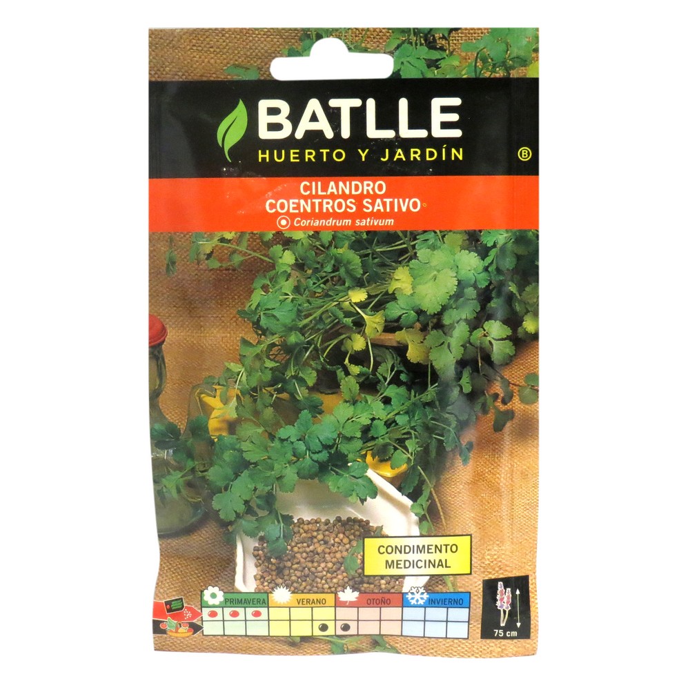 Semilla de cilantro