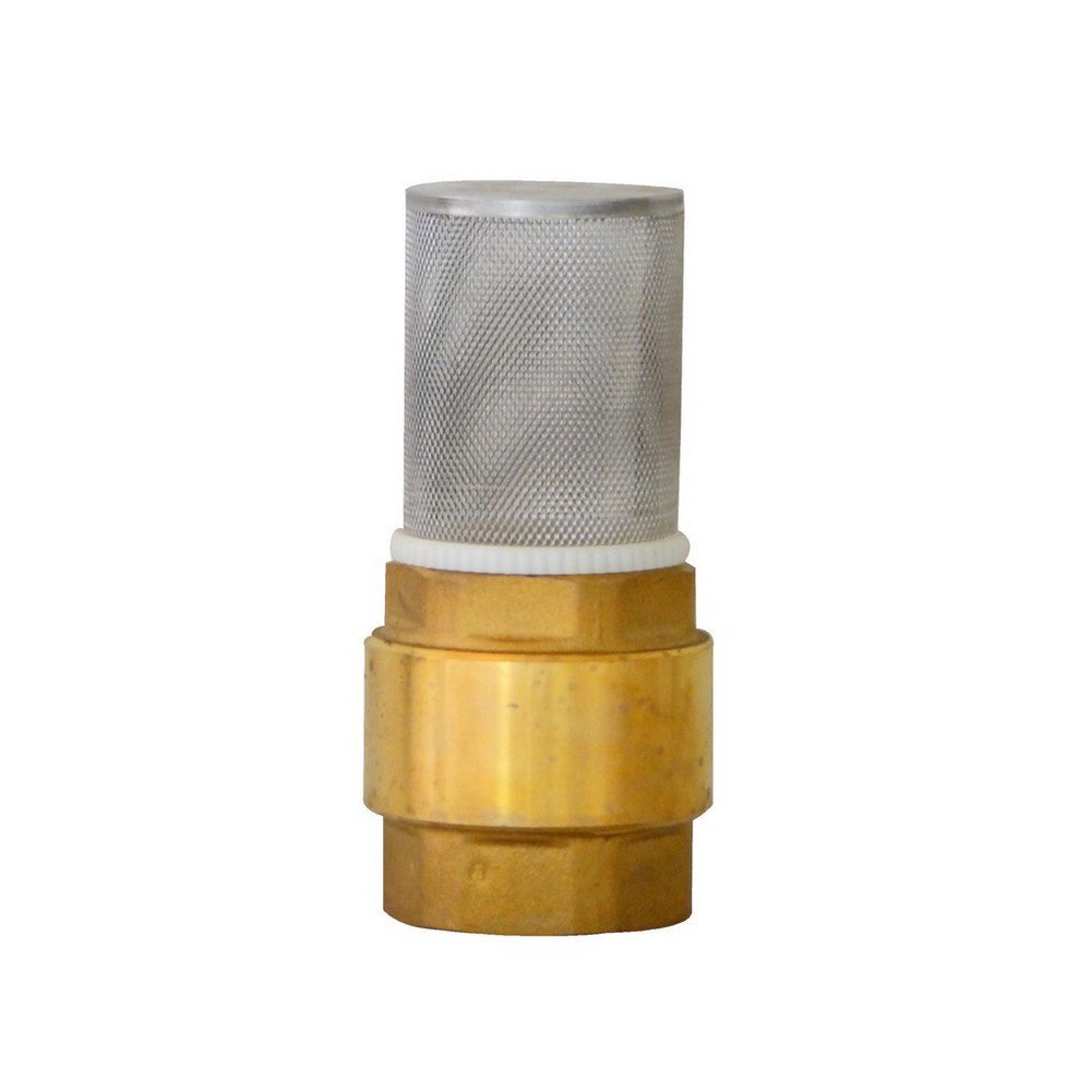 Válvula de pie 76.2 mm (3 pulgadas)