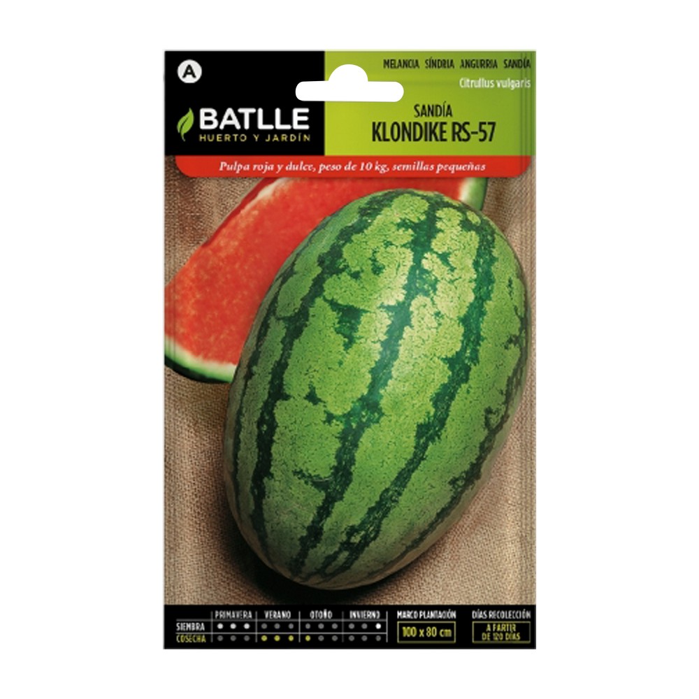 Semilla de sandia klondike