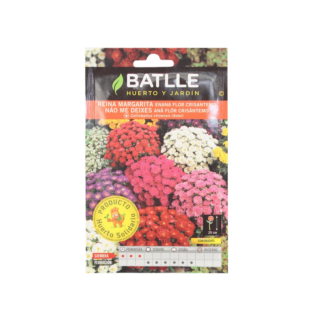 Semilla reina margarita