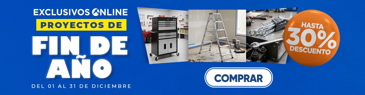 04 Proyectos de fin de año