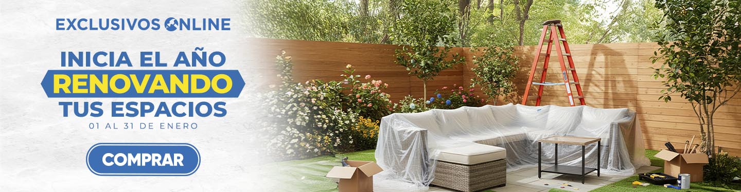 01 Año Nuevo, Proyecto Nuevo