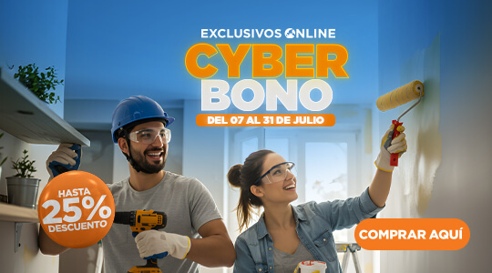 01 Bono 14